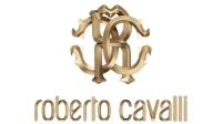 Roberto Cavalli image